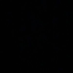 Meet your Posher, Blake